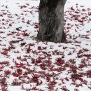 바람아래 이미지