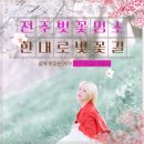 한내로 | [벚꽃 스냅 후기] 전주에서 나만 아는 벚꽃 명소는 여기! (한내로 벚꽃길)