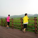 안산종합여객터미널 이미지