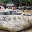 마곡사경내 이미지