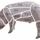 돼지로