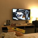 Time Terminal Hotel | 필리핀 세부 &amp; 보홀 5박 6일 자유여행 총정리♥ (4일차)