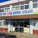 내기초 신영분교 서울뉴스통신