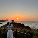 정자로상회 네이버블로그