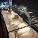 김해시수도박물관 | 시간을 굽다 분청, 잉태의 기억 김해분청도자박물관