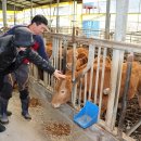 입석한우농장 이미지