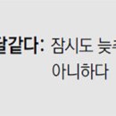 뉴경찰신문
