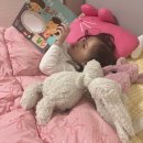 뽀송뽀송 세탁하우스 | 알러지케어 이불은 모던하우스에서! 세탁 후 당일 건조 실화?