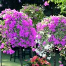 GS25(통영연명항점) | 통영 겨울여행 어디 갈까? 만지도 · 연대도 + 동백커피식물원