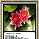 설하지