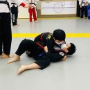 본국무예원 합기도, 검도, 국궁활쏘기 옥정본관 이미지