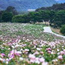 국사봉 전망대 이미지