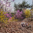 염창산 화장실 이미지