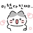 돼한민국 이미지