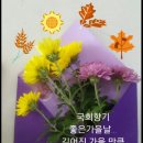 행운 Daum카페