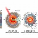 삼중도 전자신문