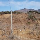 산서농장 네이버블로그