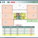 단디스크린골프 이미지