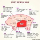 먹자삼겹살 - 강서구 강서로 317-6 | 먹자삼겹살