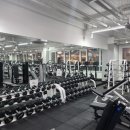 피지컬 뷰티 이미지