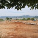 주포농장 이미지