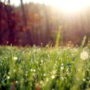 소래바다낚시터 이미지