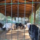 진인어린이집 이미지