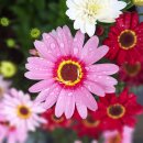 치유의숲 공중화장실 이미지