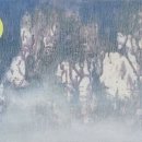 참기획 - 창원시 의창구 | 참기획