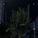 TNB 피트니스 센터 네이버블로그
