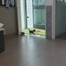 다호동물병원 이미지