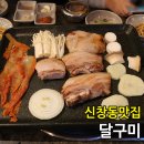 달구미 이미지