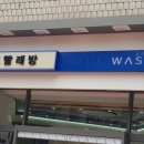 블루워시 이미지