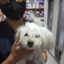 미도어린이공원 노트펫