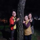 순흥농원 이미지