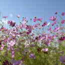 복자여중고 이미지