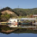 남이섬힐링캠핑장 이미지