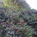 망산마을 이미지