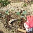 김선길농장 이미지