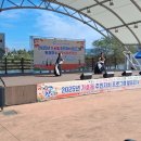 가호동10 이미지