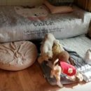 화랑유치원 이미지