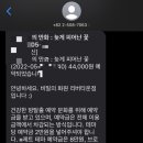 강남꽃화원