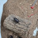 양주곤충박물관 | 양주 장흥 아이랑 갈만한곳 양주곤충박물관 찐 후기