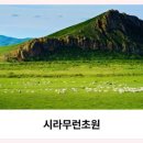 대자연 - 수성구 무열로 95 | 대자연