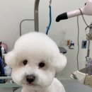 몽글댕글 이미지