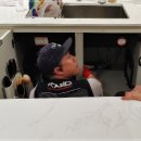 세정빌딩 이미지