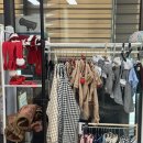 꽃마을로 | [리시위스트 스튜디오] 반려견 사진관 후기｜예민한 강아지도 편안했던 촬영후기