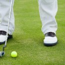 그린 실내 골프연습장 이미지