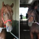 나이스리치(주) 이미지