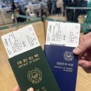 돈키호테-무식한 소 | 노재팬의 후쿠오카 여행 후기